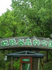 溪口杜鵑谷森林公園