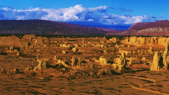 The Ancient City of Gaochang