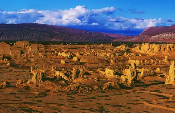 高昌故城門票成人