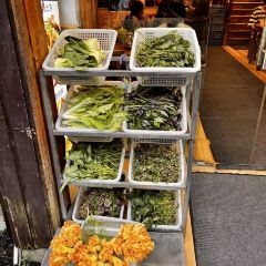 FENG HUANG LAO CAI GUAN User Photo