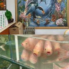 XIAO HAI TUN LIAN SUO HAI XIAN CANTING 여행 사진