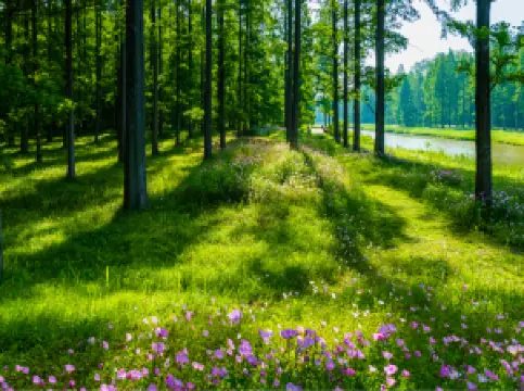 สวนสาธารณะหวางไห่