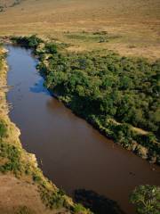 Mara River