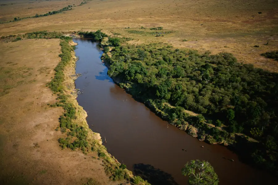 Mara River