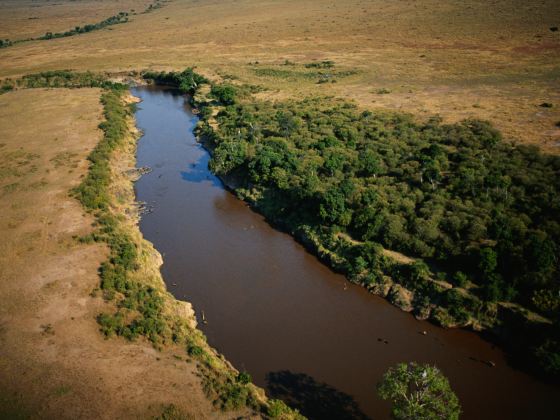 Mara River