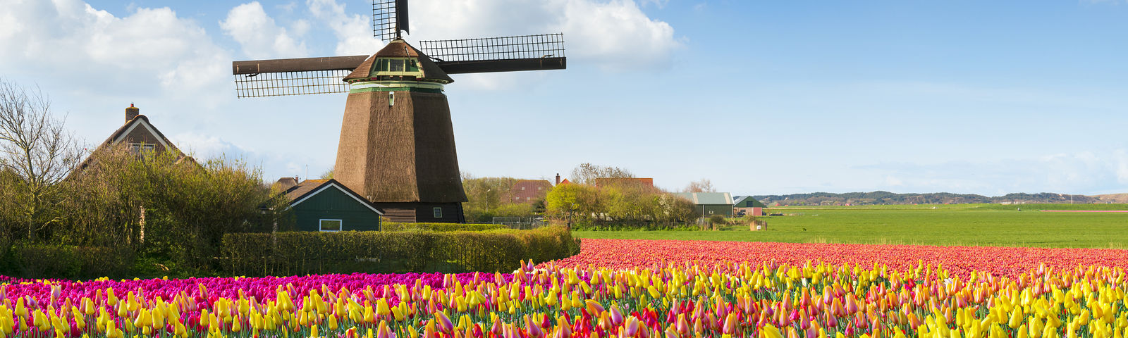 NetherlandsWi-Fi & SIM cards