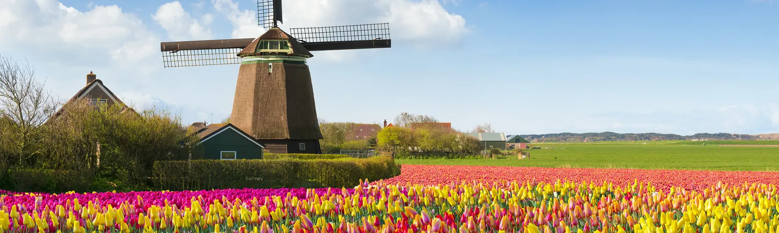 BelandaKartu Telepon