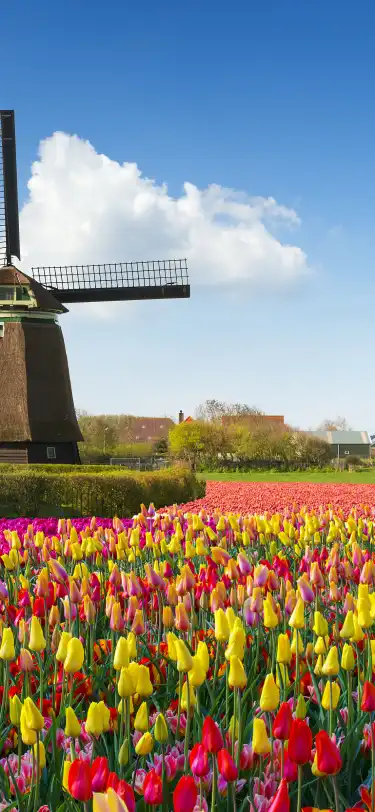 Нидерланды: отели на тему «Пляж»