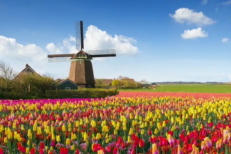5-Star Hotels in Netherlands