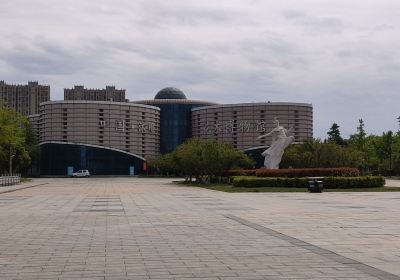 พิพิธภัณฑ์ดอกไม้และต้นไม้จีน Shuyang