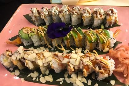 Amazonia Piazza Bologna