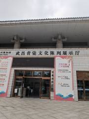 Echeng District Science and Technology Museum, Ezhou City