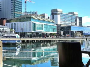 Top 9 Restaurants for Views & Experiences in Wellington