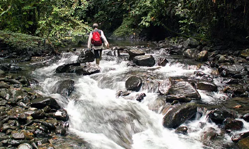 Stream Exploring in Hangzhou