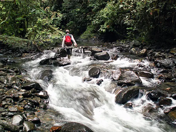 Stream Exploring in Hangzhou