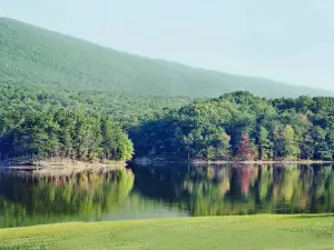 Allegany State Park