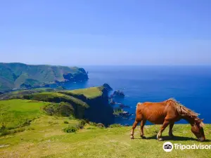 隱岐諸島