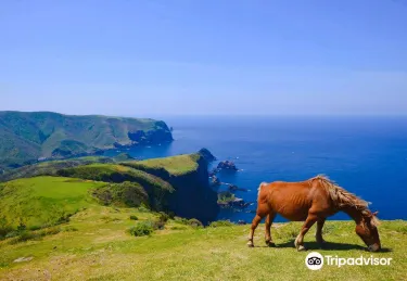 Oki Islands