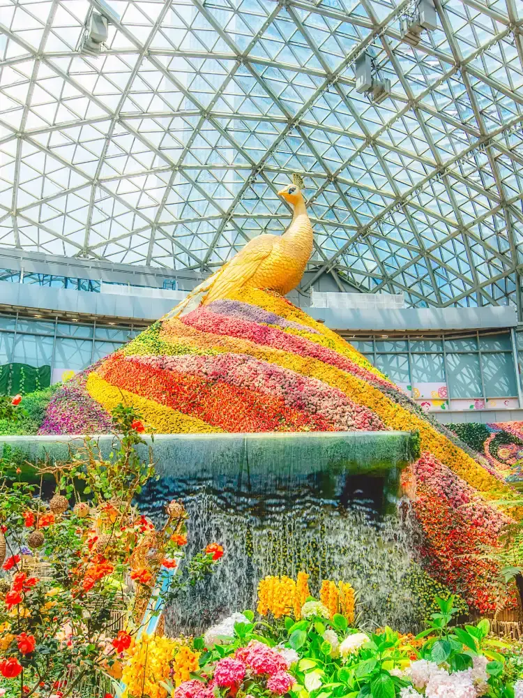 Hotels near City of Flower