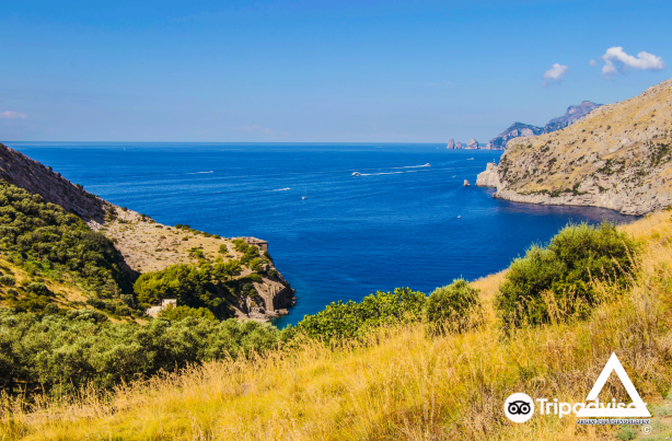 FAI - Ieranto Bay