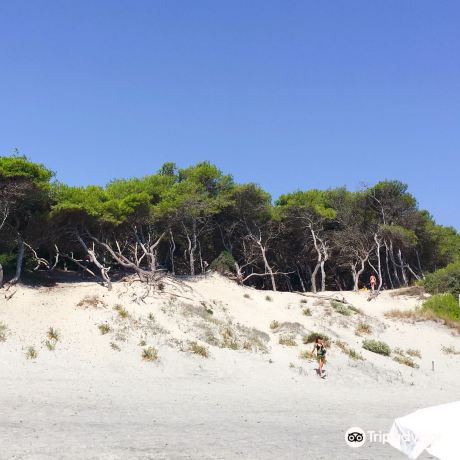 Alimini Beach