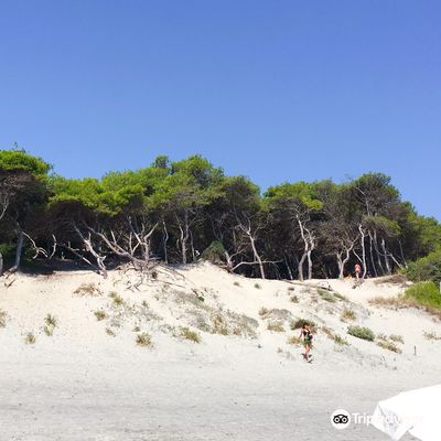 Spiaggia libera degli Alimini