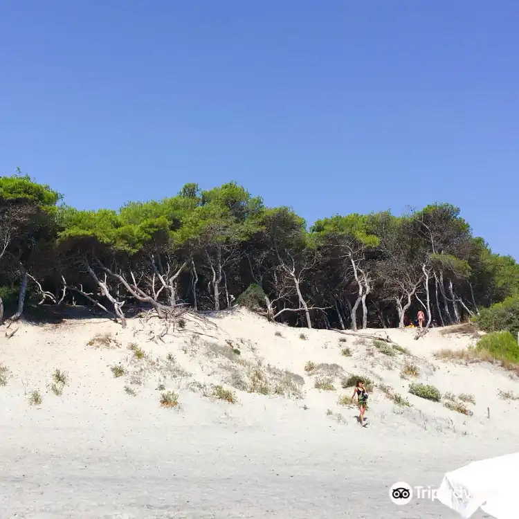 Hotels in der Nähe von Alimini Beach