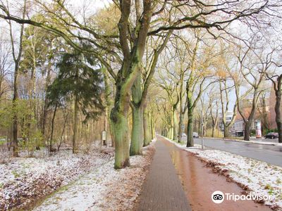 Bürgerpark Bremen