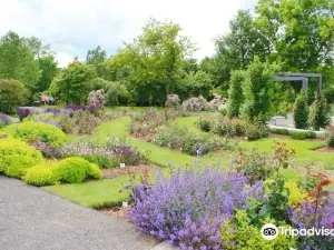 Europa Rosarium