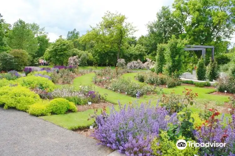 Hotels in der Nähe von Europa-Rosarium Sangerhausen