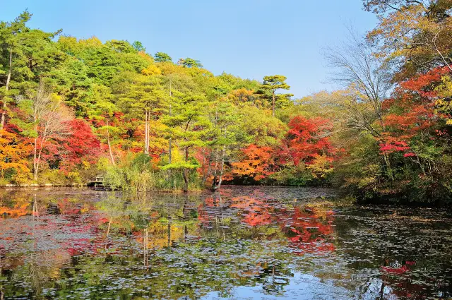 Fall Leaves Viewing in Kobe