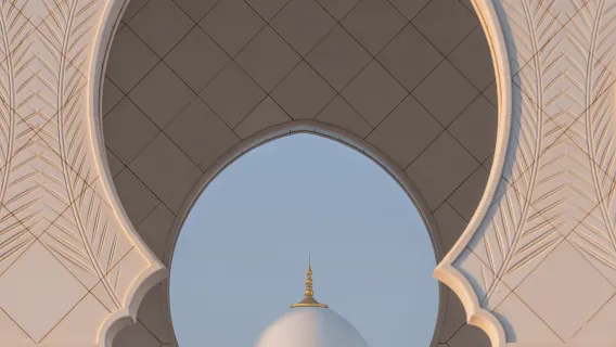 Louvre Abu Dhabi + Istana Kepresidenan + Masjid Agung Sheikh Zayed [sewa kendaraan pribadi Premium - Bahasa Mandarin]