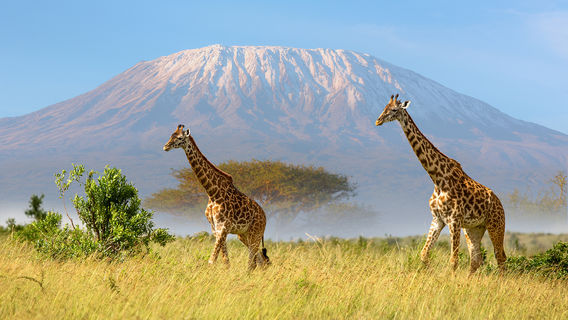 Mount Kilimanjaro National Park
