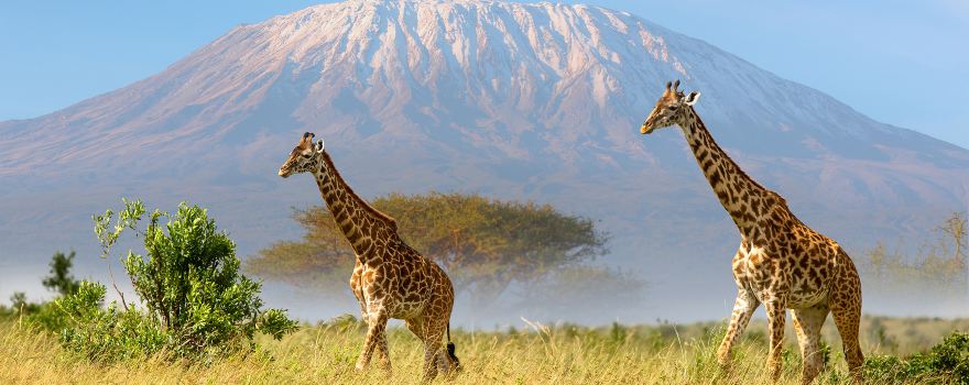 Mount Kilimanjaro National Park