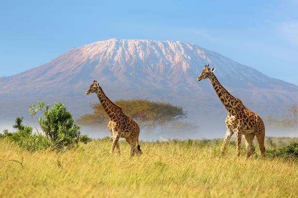 Mount Kilimanjaro National Park