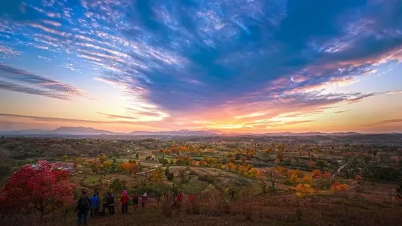 Beishan Red Leaf Viewing Platform