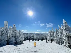 Mount Snow Ski & Snowboard School