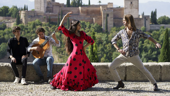 Flamenco Performances in Spain