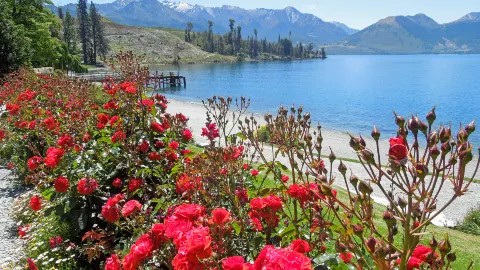 Lake Wakatipu attraction in Otago