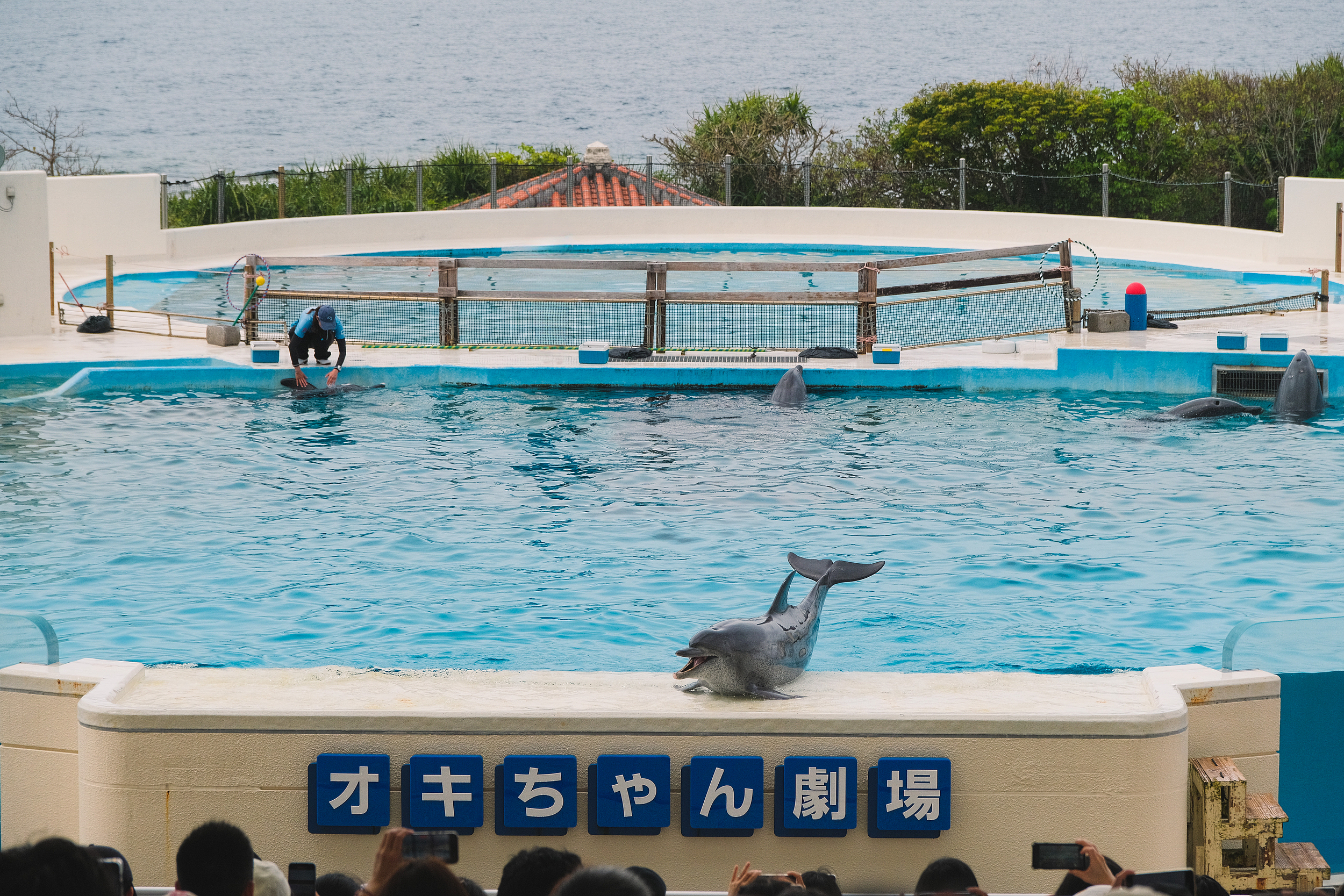 沖繩美麗海水族館