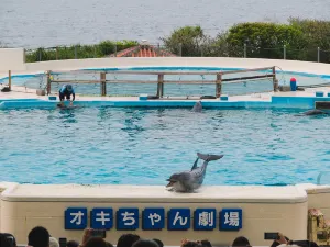 沖繩美麗海水族館