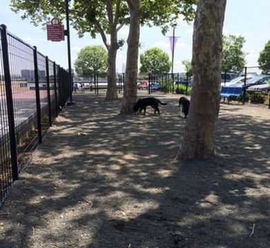 Penn's Landing Dog Park