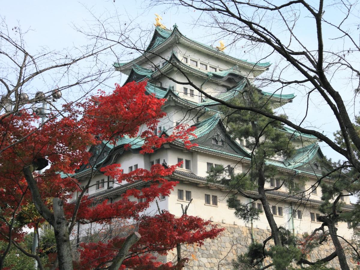 Nagoya Castle Autumn Festival | Nagoya