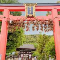 京都　松尾大社