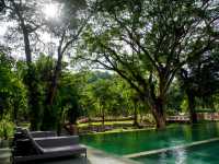 Flora Creek ที่พักกลางสวนดอกไม้เชียงใหม่