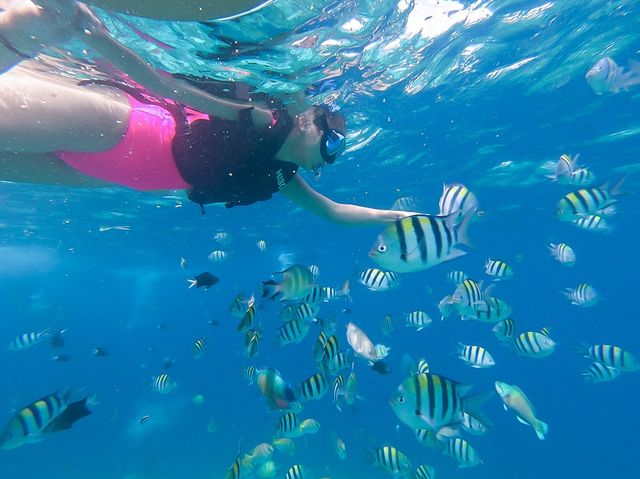 pandanon island