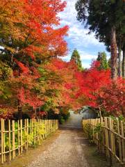 呑山観音寺