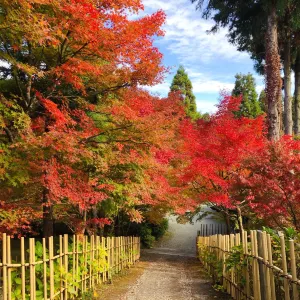 吞山觀音寺