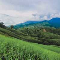 จุดชมวิวถนนลอยฟ้า1081 กม.29