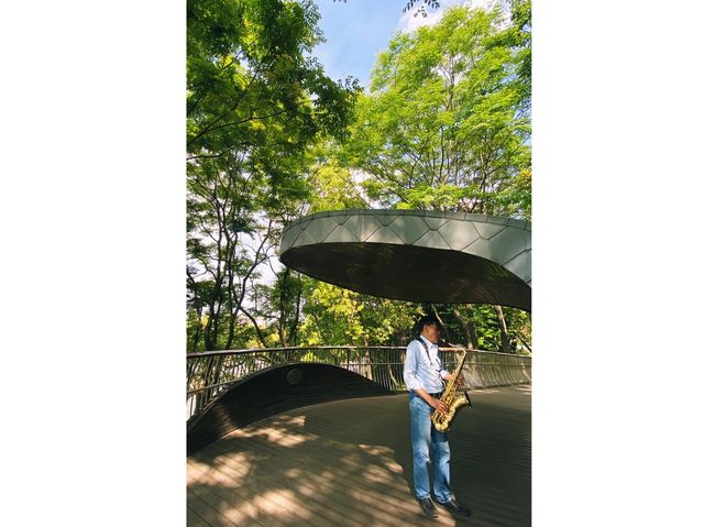 Quiet place to walk by the Suzhou River 